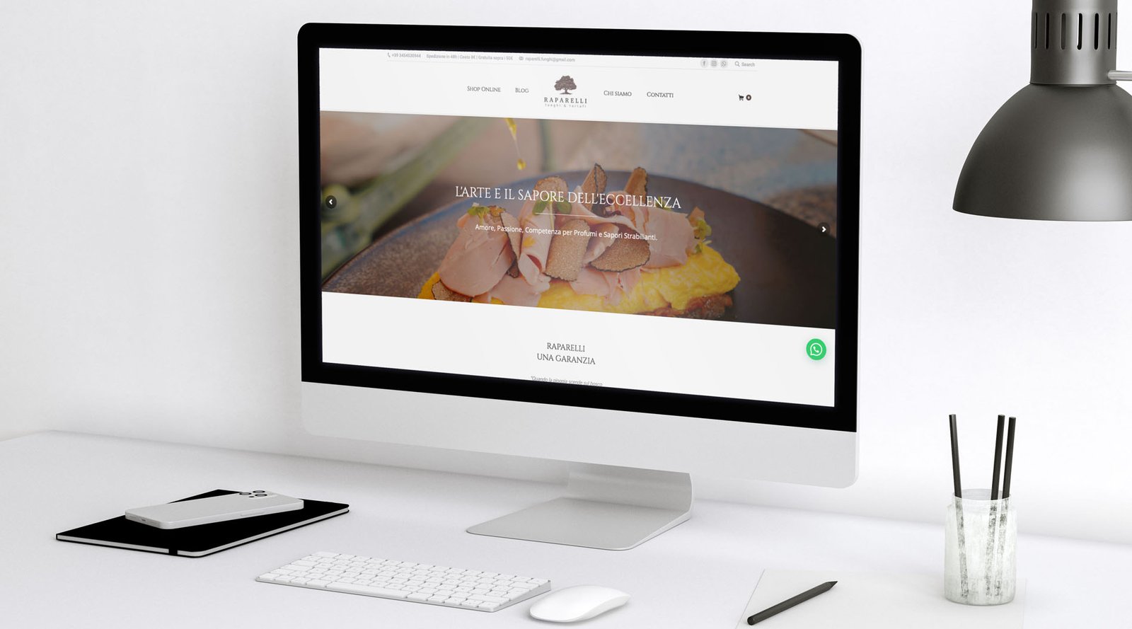 Sito Raparelli Funghi